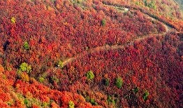 红色的山在线观看,在线探索红色山景的壮丽之旅